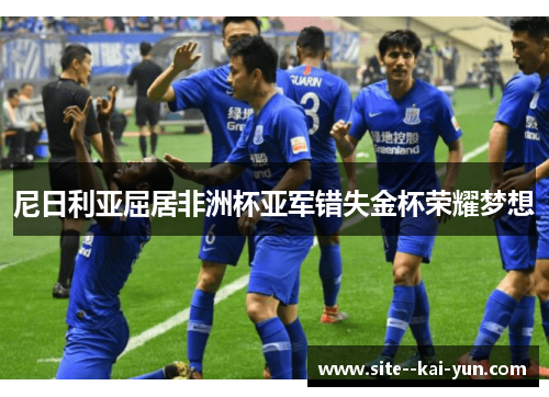 尼日利亚屈居非洲杯亚军错失金杯荣耀梦想